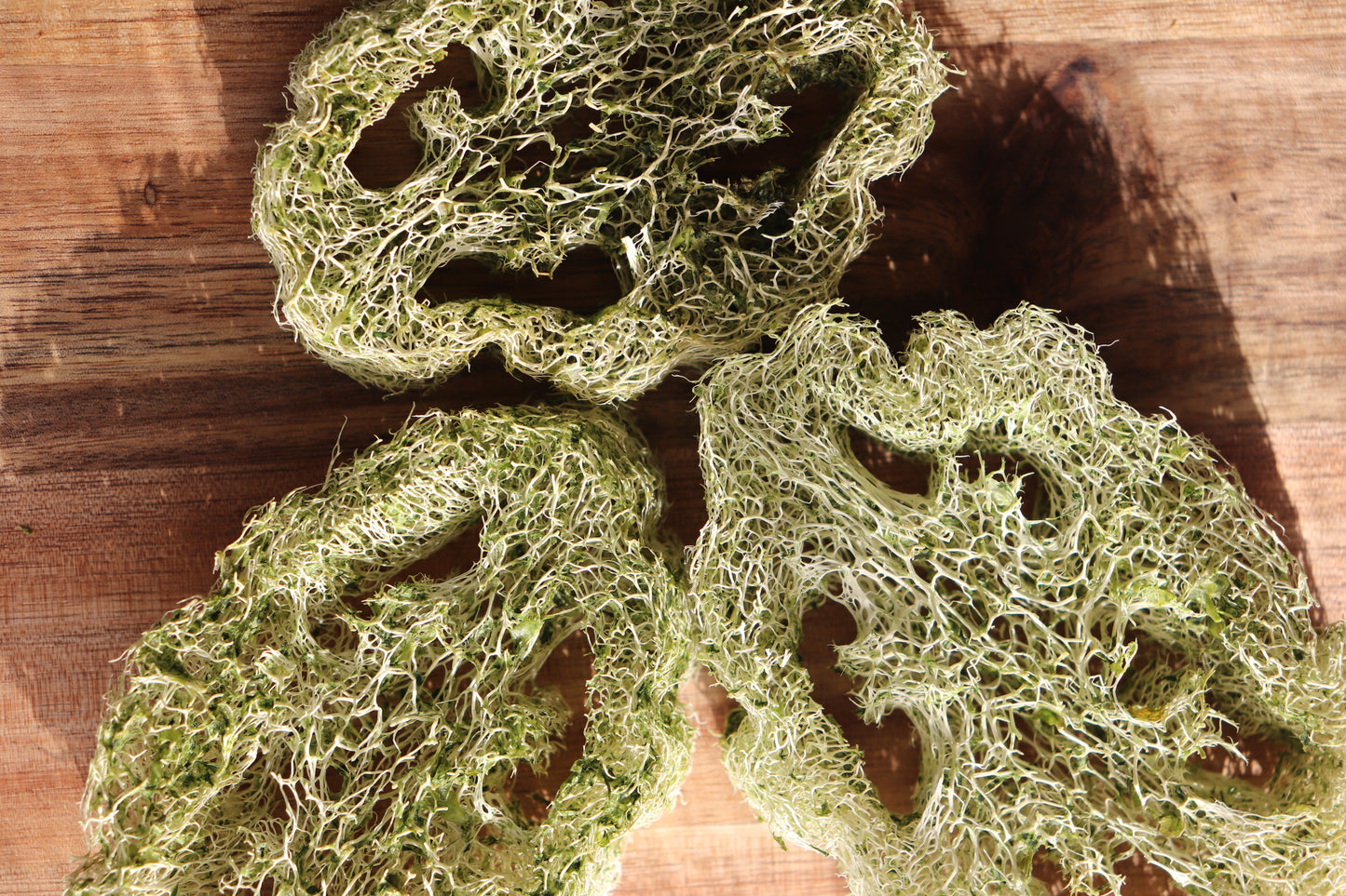 Natural Loofah toy for rabbits 2pcs