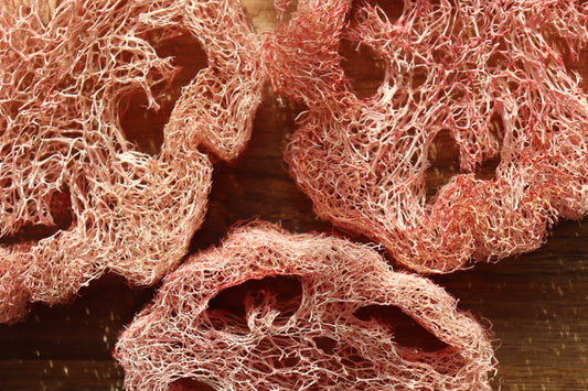 Natural Loofah toy for rabbits 2pcs